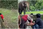 bocil-merahjatuh-ke-ragunan.jpg