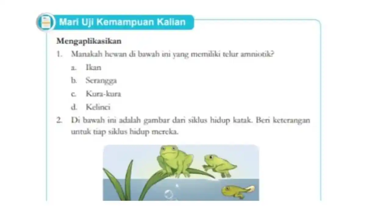 Kunci Jawaban IPA Kelas 9 Halaman 16 Kurikulum Merdeka, Bab 1: Pertumbuhan dan Perkembangan