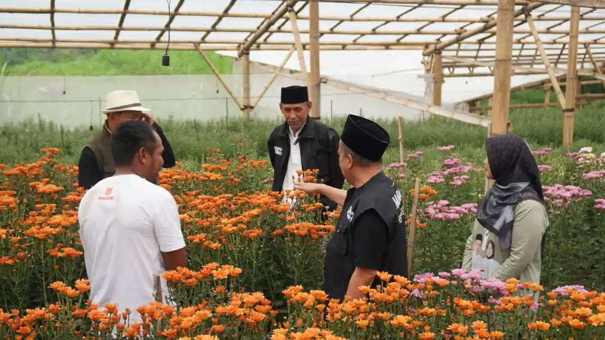 Bertemu Petani Bunga Krisan, Gus Mujib Paparkan Program Regenerasi 1.000 Petani Milenial