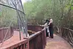 Liburan Lebaran di Mangrove Gunung Anyar Surabaya, Jadi Pelarian Warga dari Hiruk Pikuk Kota