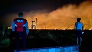karhutlah-oi-terbakar.jpg