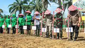 Tanam-jagung-0905.jpg