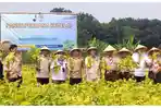 Panen Kedelai di Lahan 5 Hektare, Upaya Pramuka Dorong Regenerasi Petani dan Swasembada Pangan