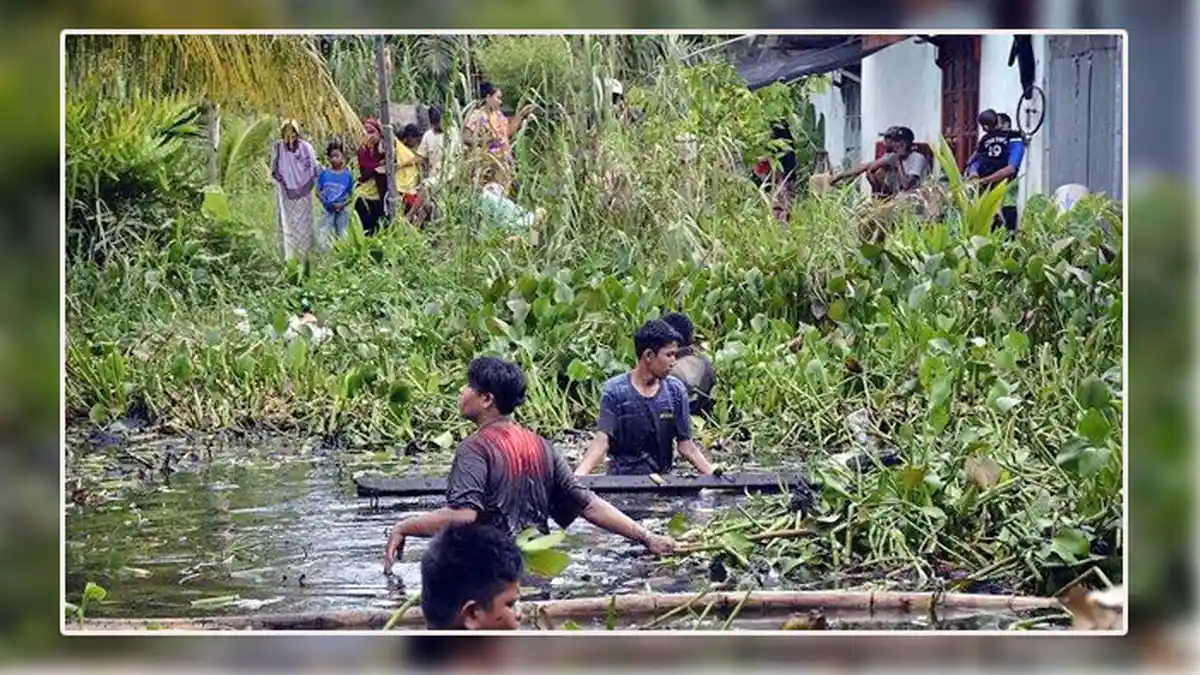 Kejadian Aneh Belum Terungkap, Perampok Yang Lari ke Rawa Penuh Eceng ...