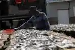 Nelayan Menjemur Ikan Hasil Tangkapan