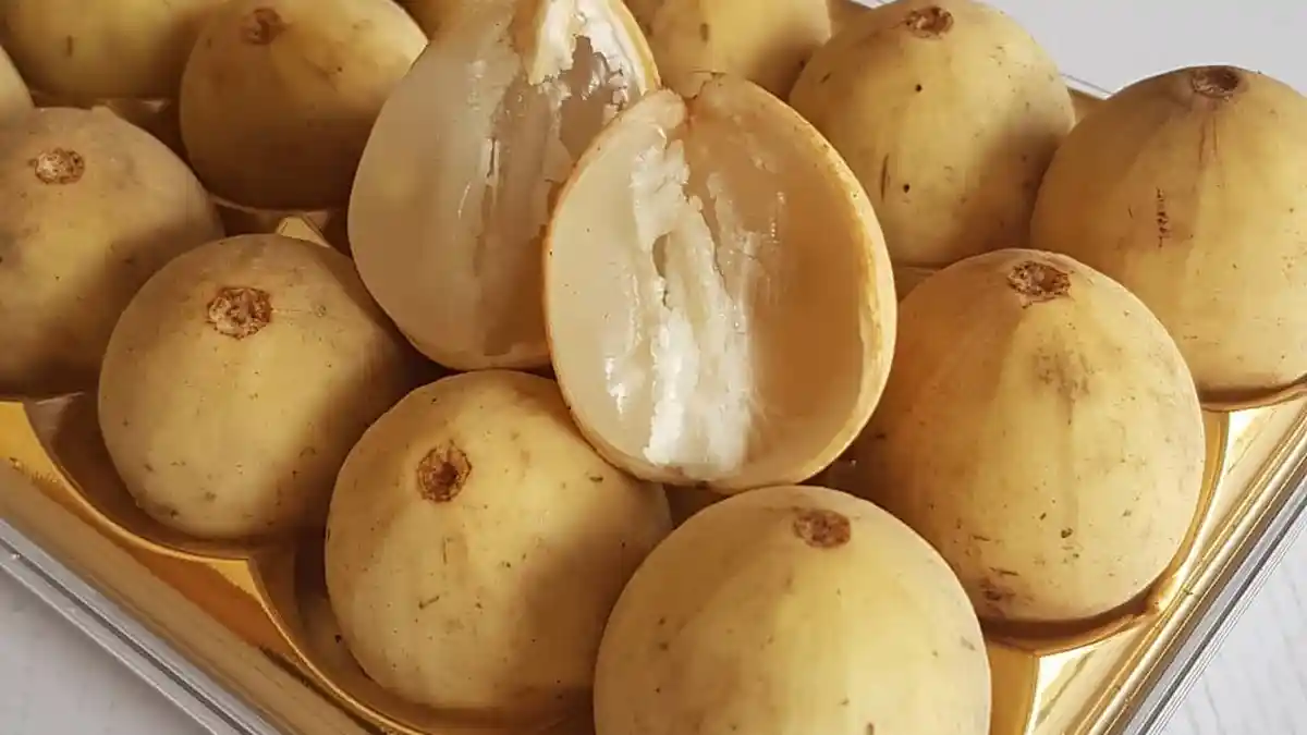 5 Khasiat Makan Buah Duku, Mulai Kontrol Kolesterol hingga Meningkatkan Sistem Syaraf