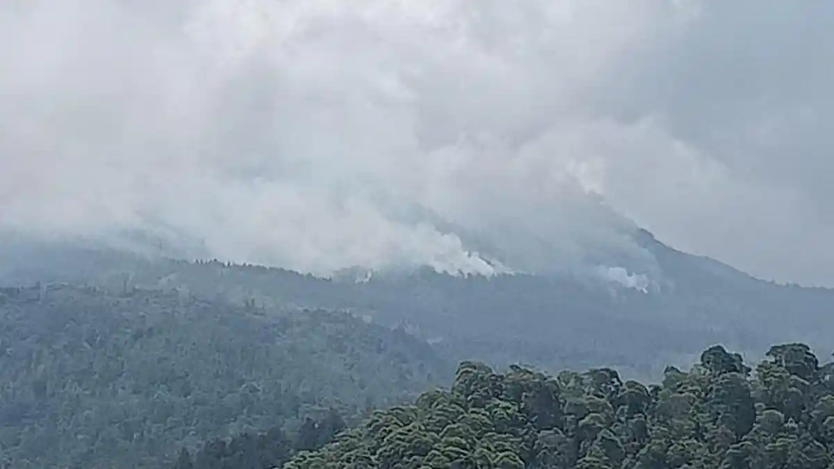 Update Kebakaran Gunung Lawu, Titik Api Terlihat di Wilayah Magetan