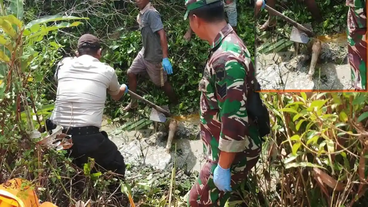 Terungkap Identitas Mayat Wanita di Rawa-rawa Langsa, Korban Berstatus Janda