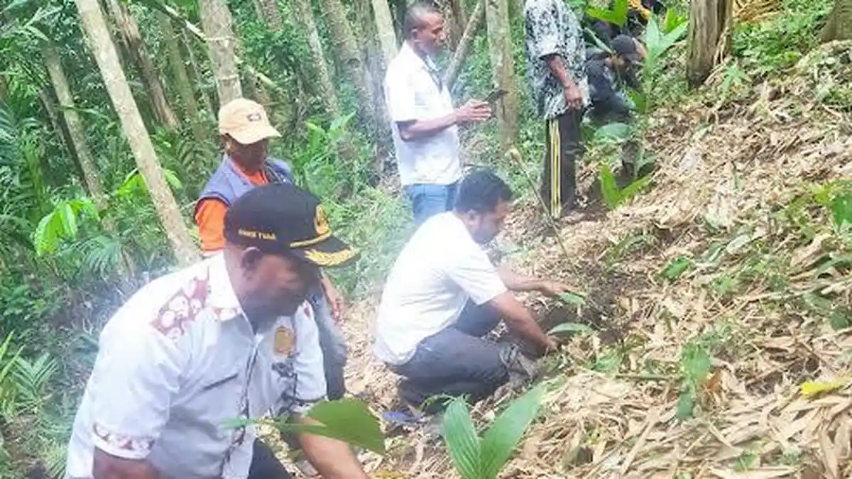 Pemda Lembata Dukung Pemdes Meluwiting Budidaya Buah Salak