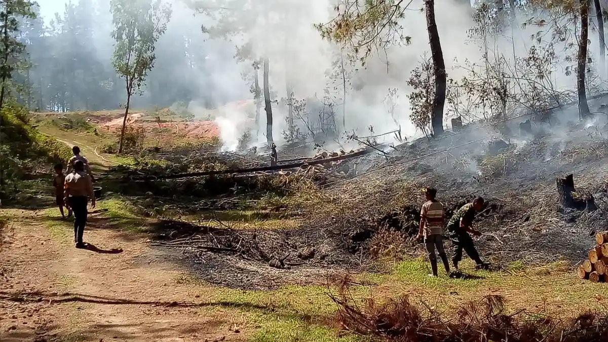 Kebakaran Hutan Rakyat di Rindingallo Toraja Utara Akibat Pembukaan Lahan