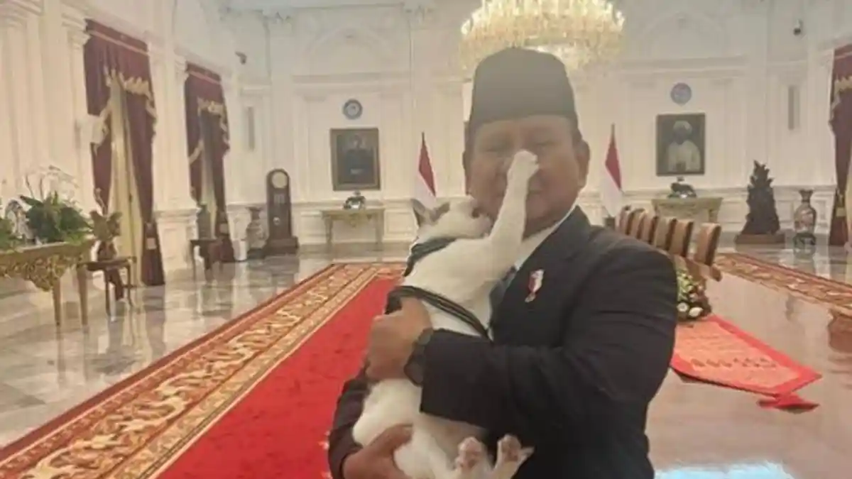 Kucing Prabowo Subianto Bobby Kertanegara Diajak Ikut Demo Depan DPR RI Oleh Pecinta Hewan