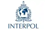Ilustrasi-Interpol.jpg
