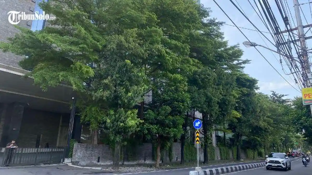 Prakiraan Cuaca Kota Solo Jumat 29 Mei 2026 : Stabil, Berawan Sepanjang Hari
