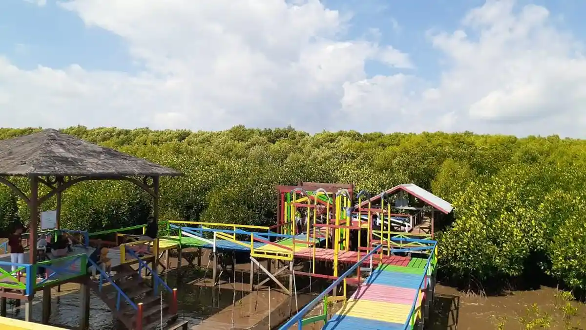 Kawasan Ekowisata Mangrove Lantebung