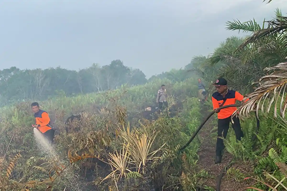 BPBD: Ada 72 Titik Hotspot di Kalbar, Titik Terpanas Terpantau di Mempawah
