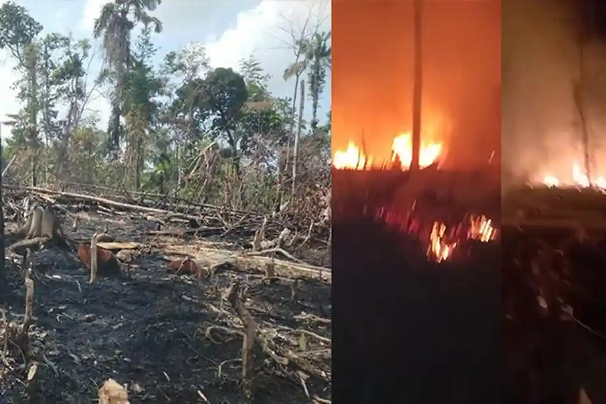 Sepekan 5 Kasus Karhutla, BPBD Lampung Barat Imbau Warga Tak Buka Lahan Dengan Dibakar