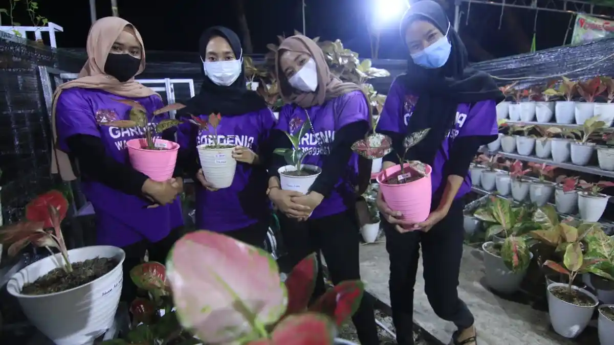 Hobi Tanaman Hias di Samarinda, Sajian Aglonema Mahakam Lampion Garden, Banyak Pengunjung Datang