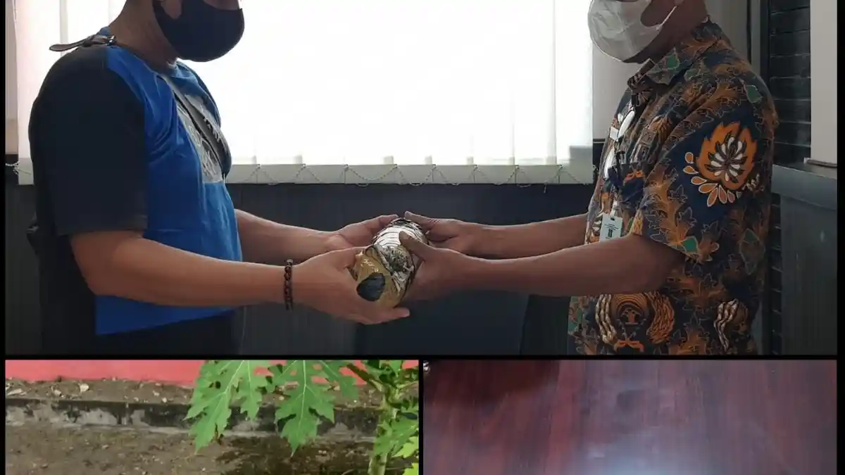 Petugas Gagalkan Peredaran Ganja di Rutan Sigli, Barang Haram Ditemukan Dalam Plastik