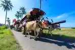 Jadi Sorotan Anggaran Festival Pegon Jember Rp 200 Juta, Tapi Hanya Diterima Rp 7 Juta
