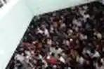 Peti Jenazah Didik dan Dodi Disemayamkan di Kompas Gramedia Maja