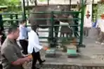 Risma Beri Nama Dumbo pada Bayi Gajah KBS