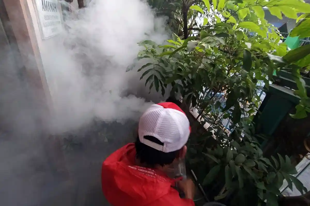 DBD di Karanganyar Menurun Hingga Oktober, Tapi Dinas Kesehatan Temukan Fakta Ini