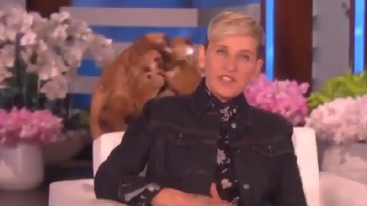 Pecat Tiga Produser, Ellen DeGeneres Minta Maaf Kepada Staffnya