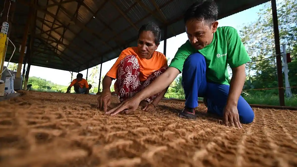 Ampas Kelapa Disulap Jadi Barang Bernilai Ekonomi Tinggi oleh Warga Halmahera