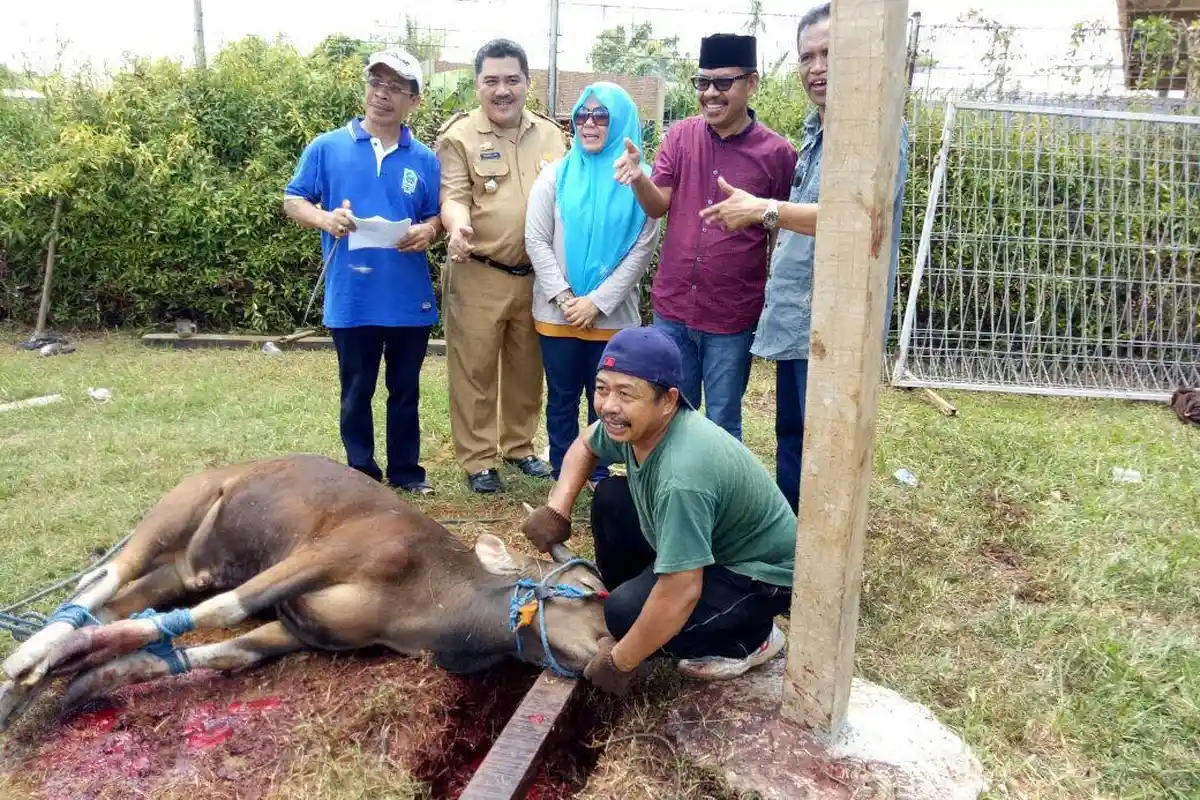 DPP KKDB Sembeli Enam Ekor Sapi, Sebar 350 Kupon