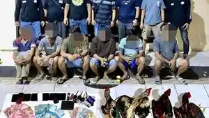 Pelaku-judi-sabung-ayam-dan-barang-bukti-saat-diamankan-di-Polres-Luwu-Utara.jpg