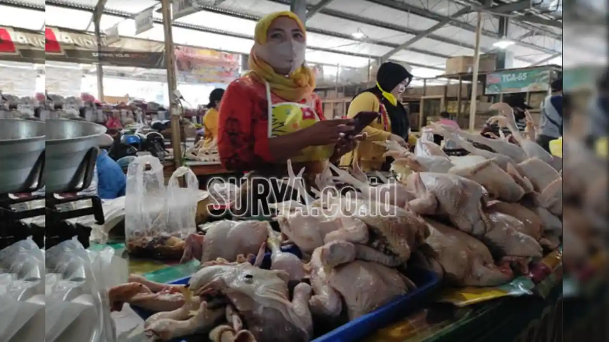 Jelang Ramadan di Kabupaten Ponorogo, Harga Cabai Rawit Merangkak Turun