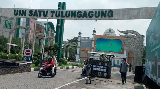 Tribun