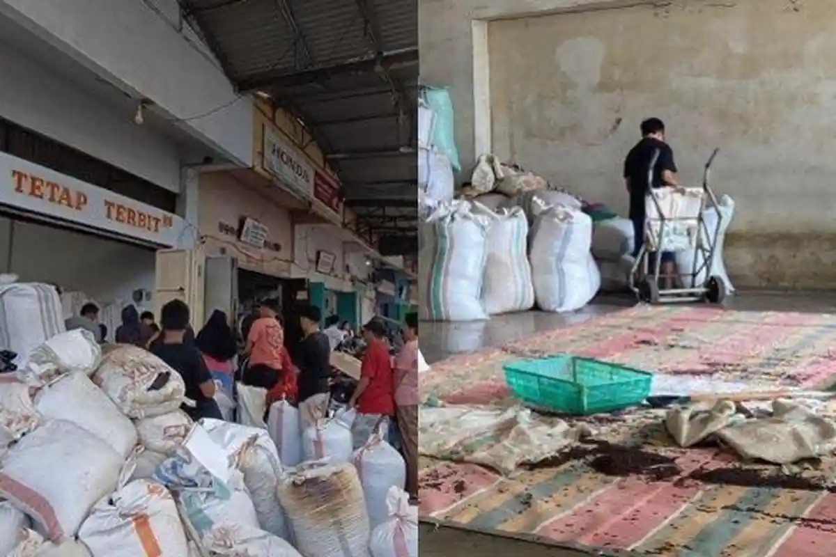 Harga Cengkih di Manado Sulawesi Utara Hari Ini Senin 30 September 2024, Turun Lagi, Ini Kata Petani