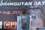 Hari Orangutan Sedunia