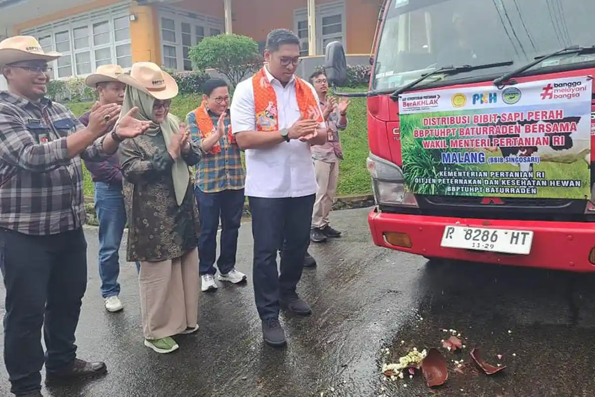 Wamentan Sudaryono Kunjungi Baturraden, Genjot Produksi Susu untuk Program Makan Bergizi Gratis