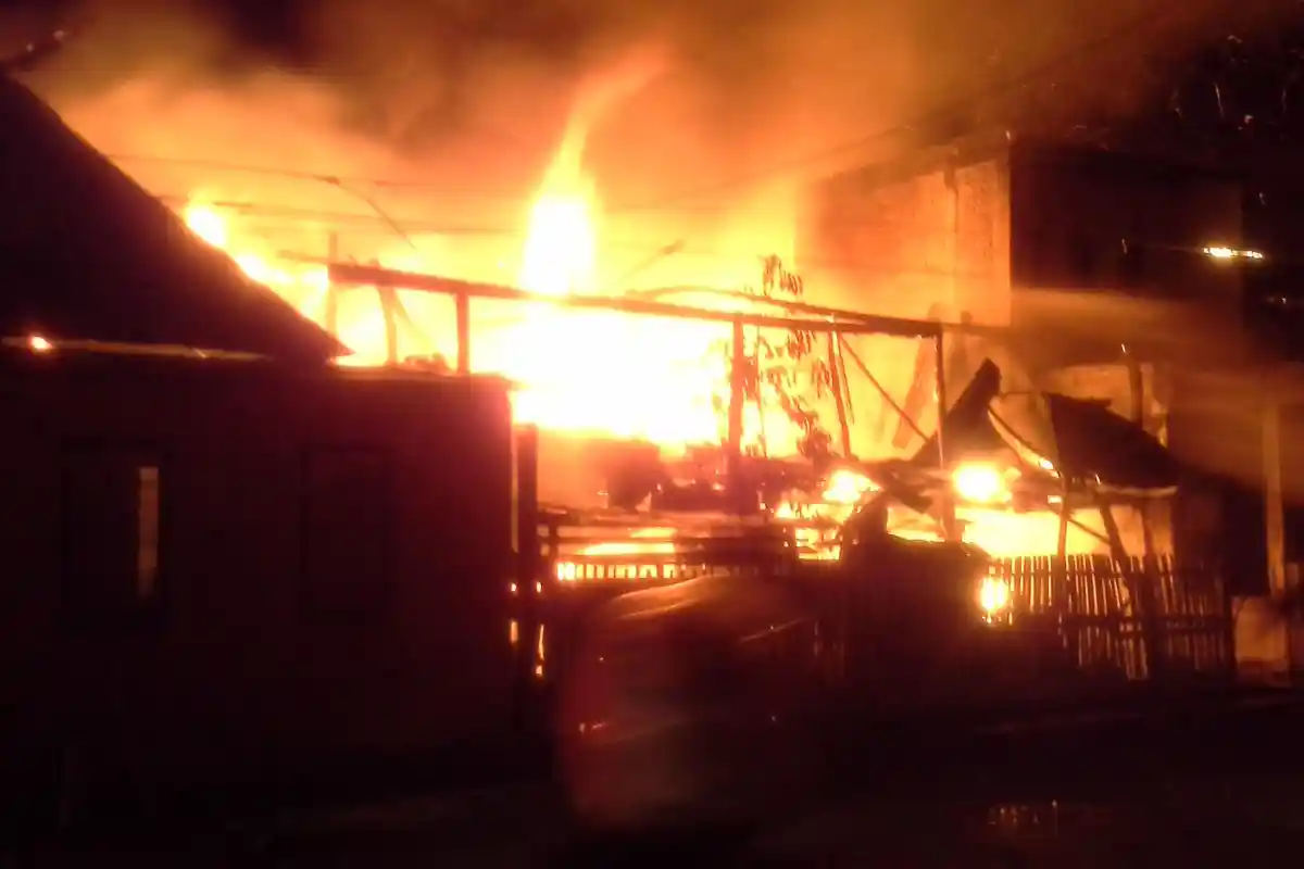 Gagal Diselamatkan Tim Animal Rescue, Seekor Kucing Terpanggang di Jalan Kancil