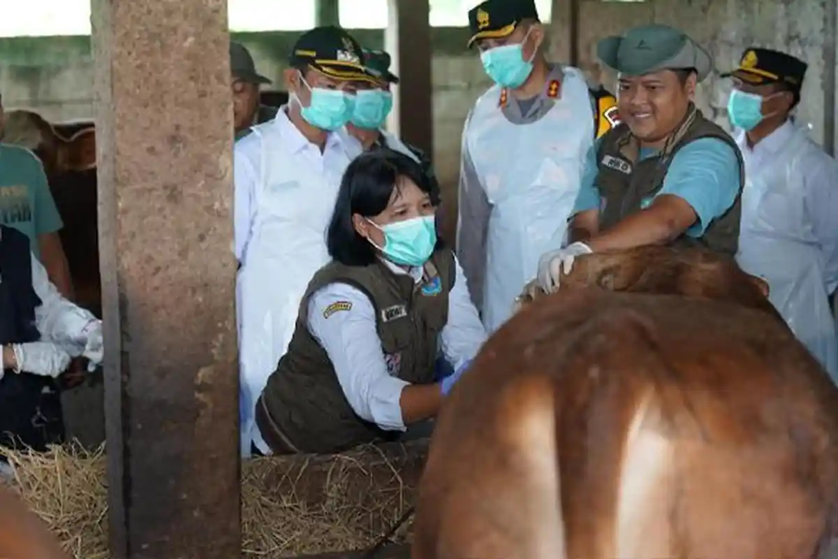 Dua Pasar Hewan Lamongan Masih Ditutup Dampak PMK, Tunggu Hasil Evaluasi Selama 14 Hari