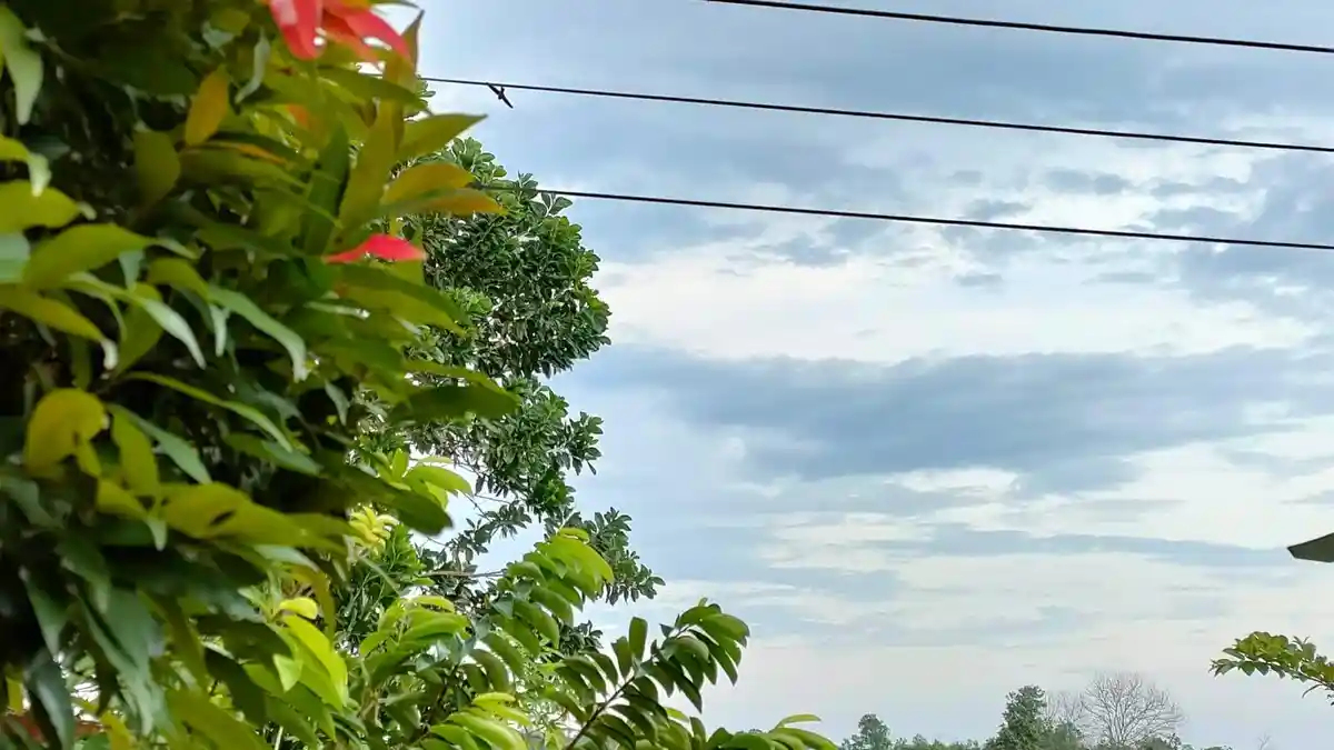Cuaca Hari Ini Samarinda, Sabtu 3 September 2022, Malam dan Jelang Dini Hari akan Hujan Ringan