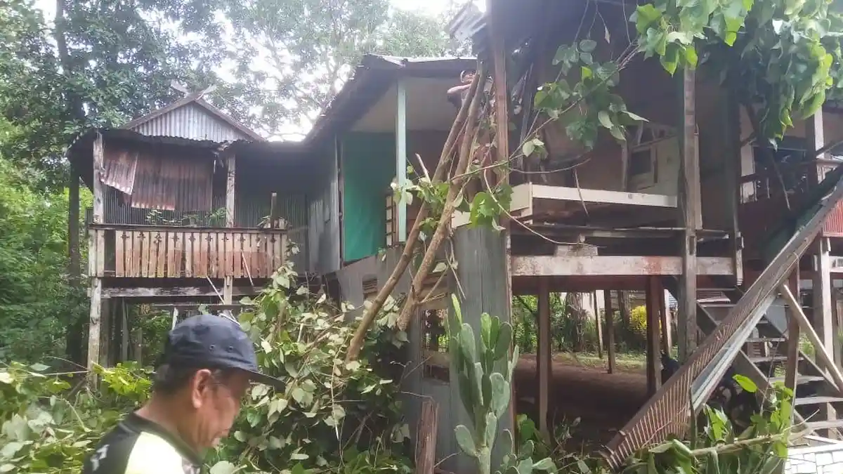 Cuaca Ekstrem: Pohon Tumbang Timpa Rumah Baharuddin dan Honda Revo Ketua RT Lalabata Barru