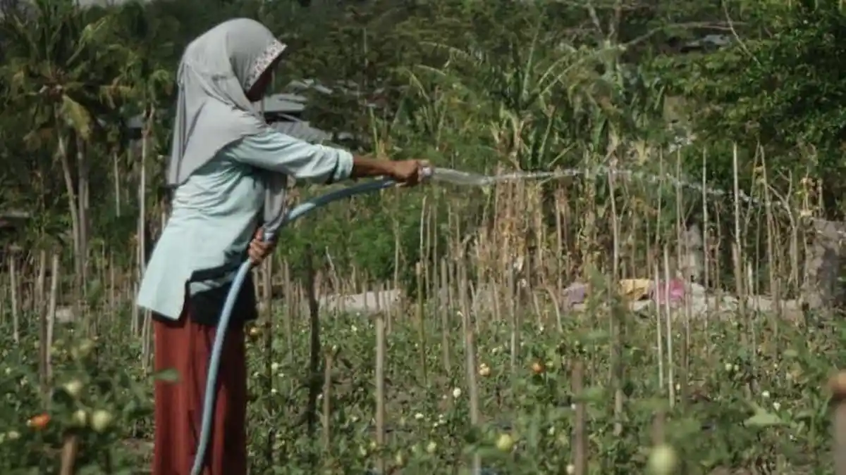 Desa Energi Mandiri Hadir di Cagar Biosfer Komodo, Dukung Irigasi Pertanian Tenaga Surya
