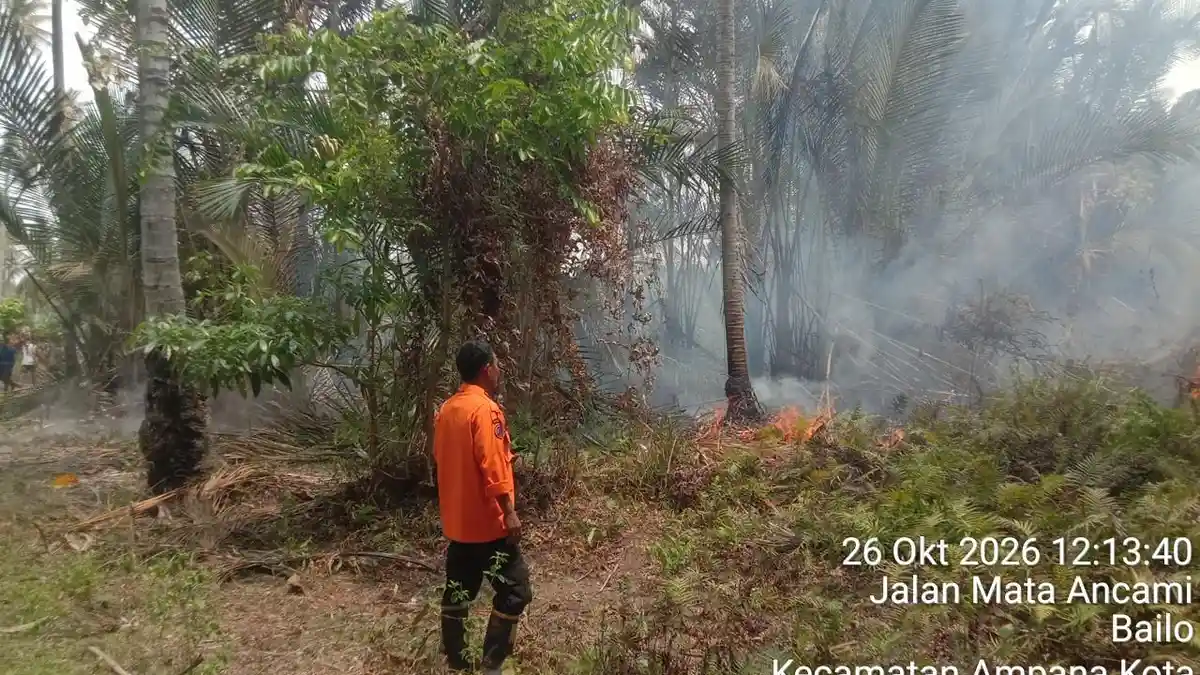 Puntung Rokok Diduga Picu Kebakaran Lahan Seluas Satu Hektare di Tojo ...