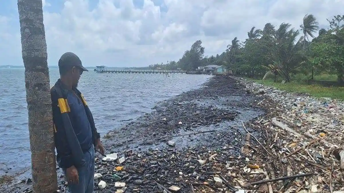 Pesisir Pantai Sakera Teluk Sebong Kabupaten Bintan Tercemar Limbah Minyak Hitam