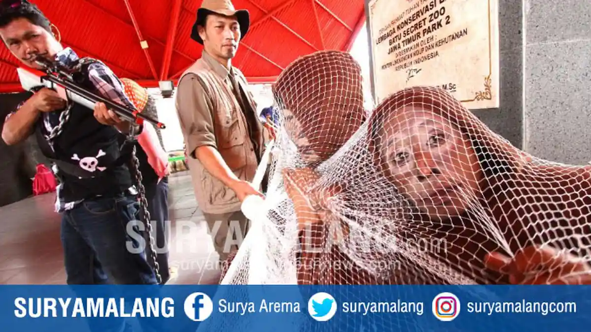 Suguhkan Teatrikal Primata Sadarkan Perilaku Manusia