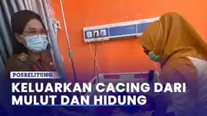 Balita-di-Bengkulu-Keluarkan-Cacing-dari-Mulut-dan-Hidung.jpg