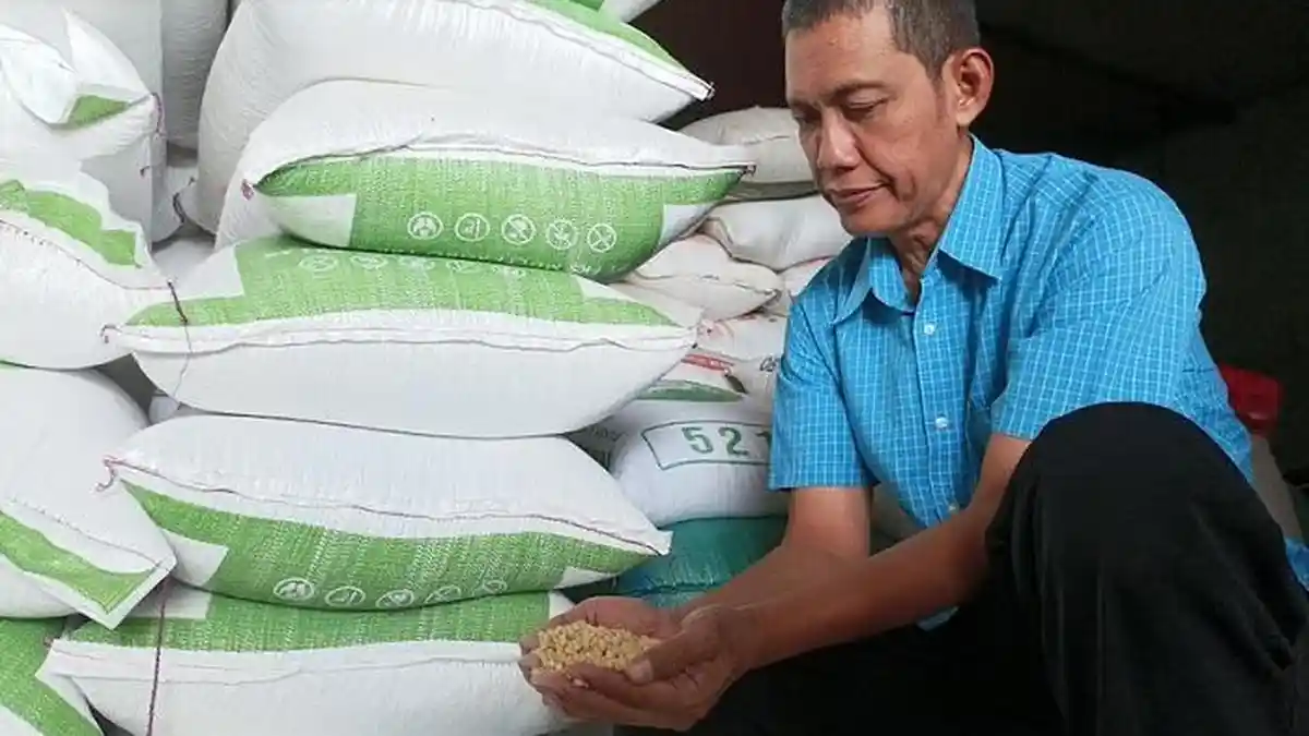 Ahli Agroklimatologi Jelaskan Terjadinya Gagal Panen Kedelai