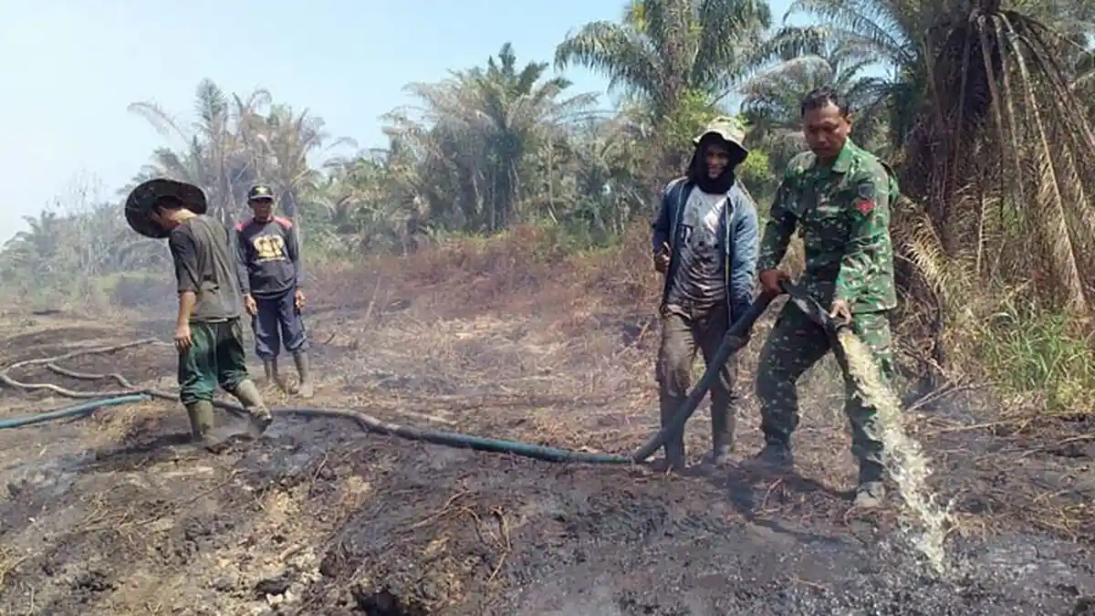 Komisi IV DPR RI Minta Pemerintah Secepatnya Tangani Kebakaran Lahan dan Hutan di Aceh
