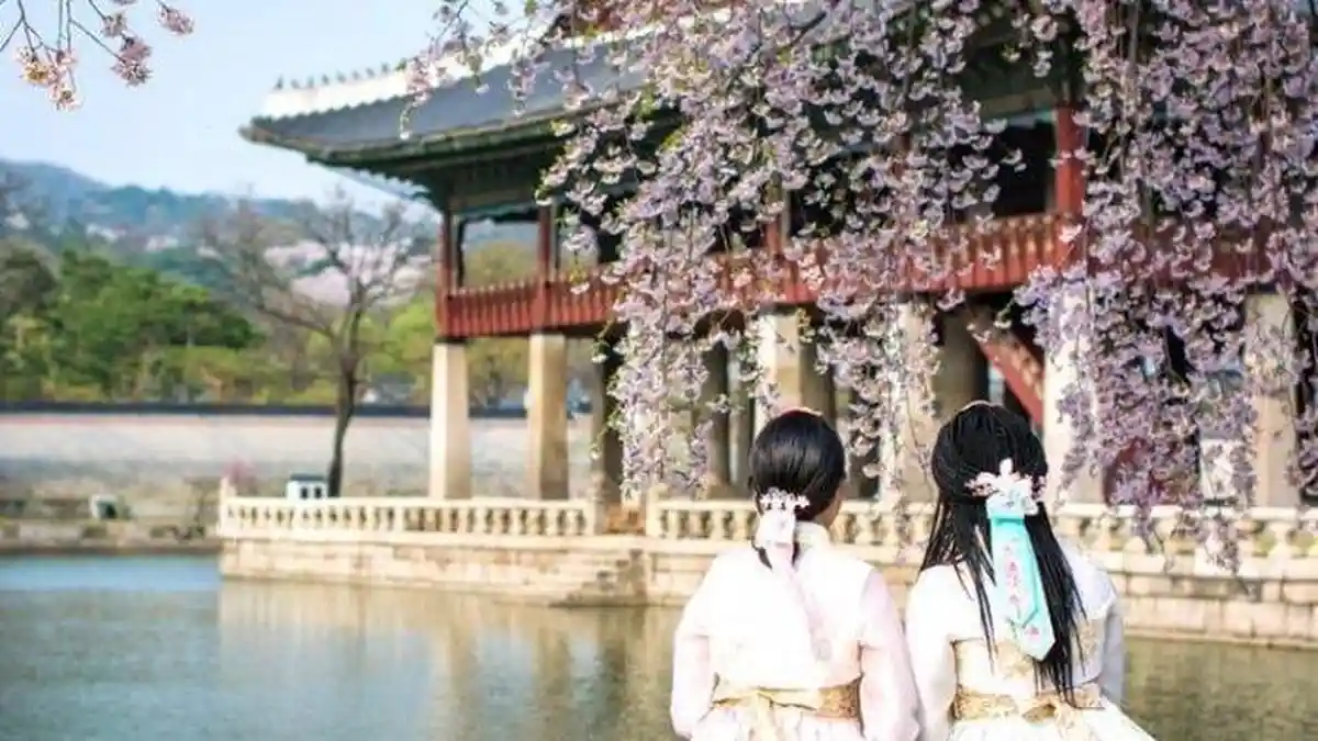 11 Fakta Unik Korea Selatan, Do's and Don'ts ketika Liburan ke Negeri Gingseng