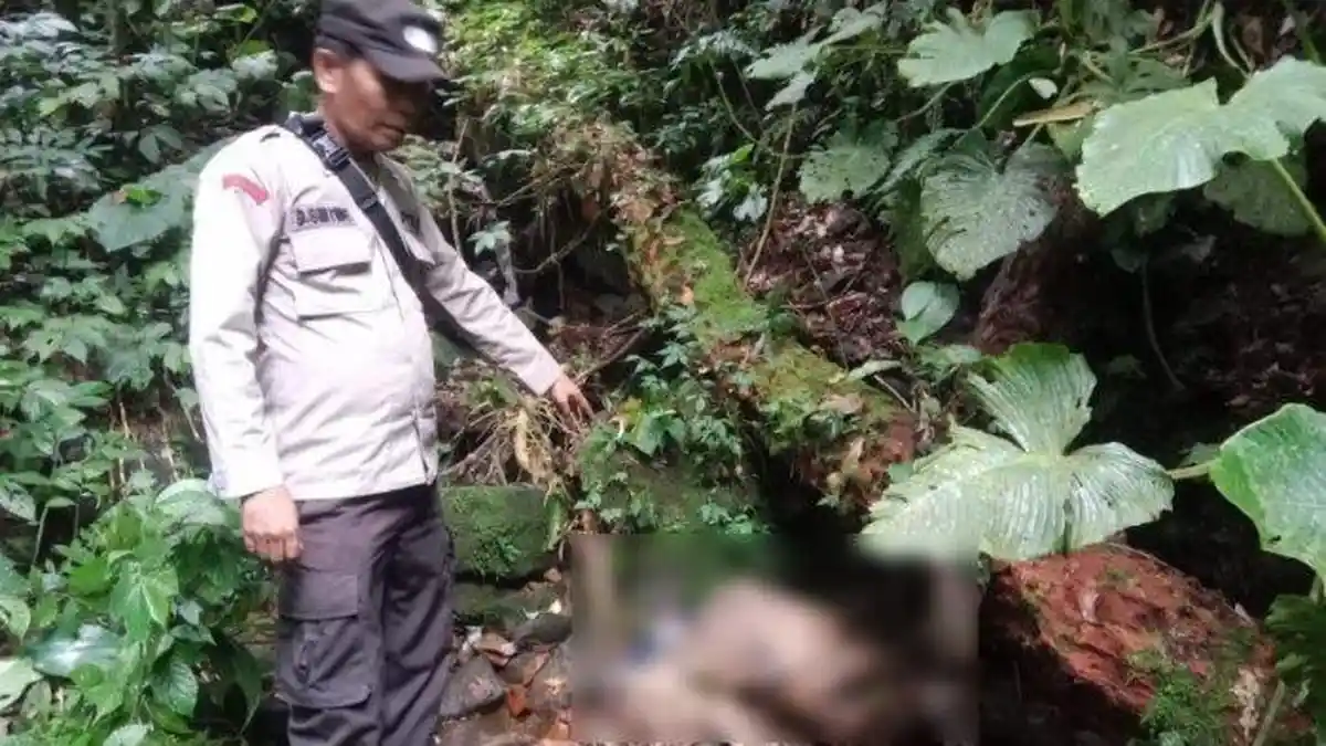 Mayat tanpa Kepala dan Tubuh Mengering Gegerkan Warga Sibolangit Sumut