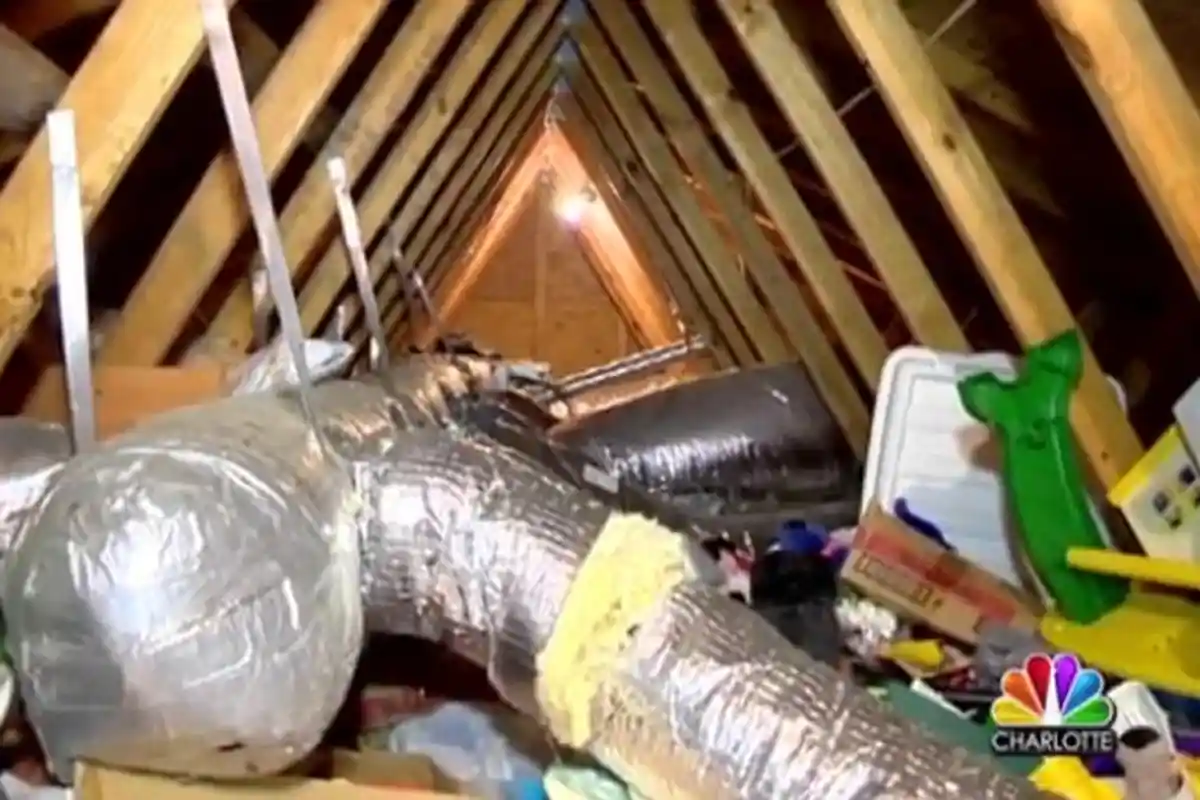 Suara-Suara Aneh di Loteng Bawa Wanita Ini Temukan Rahasia Tersimpan 12 Tahun di Rumahnya