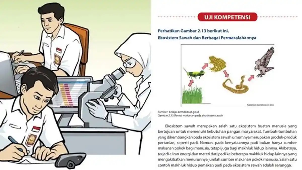 Kunci Jawaban IPA Kelas 7 SMP Halaman 44-46 Semester 2 Kurikulum 2013, Latihan Uji Kompetensi Bab 2